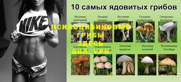 спиды Балабаново